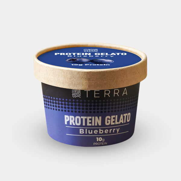 Blueberry Protein Gelato
